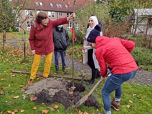 Auf den Bildern sind Diakonie-Mitarbeitende um Geschäftsführerin Hilke Schwarting-Boer (dunkelrote Jacke) und Pastorin von Fintel (Heppens) zu sehen. Bilder: Br. Franziskus/Diakonie.